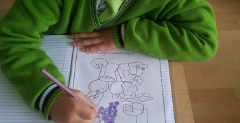 11696722_909468305804947_274200560_n