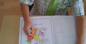 12166592_909468412471603_946540204_n