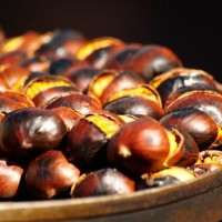 festeje-o-sao-martinho -size-3