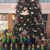 20151222_144406_800x450