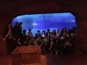 12562449_954150371333677_805365403_o (1) (Copy)