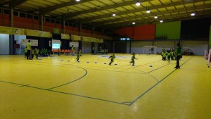 IMG_20151209_184914 (Copy)