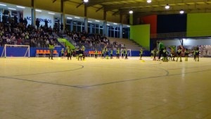 IMG_20151209_190122(1) (Copy)