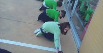 13101474_959371387513982_726210040_n