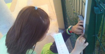 13162517_959371797513941_1442891054_n