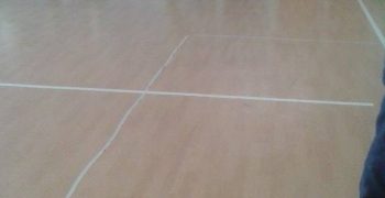 13479860_1371570602871605_1357543568_n