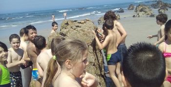 13522407_989106224540498_1643324074_n