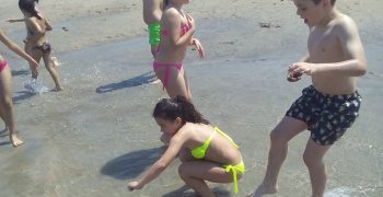 13530282_989106101207177_1350549879_n