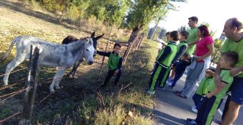 14489593_1217681978274663_859203757_o