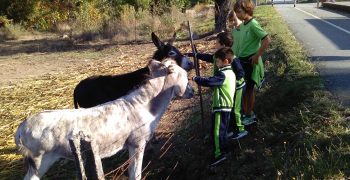 14489655_1217682361607958_2000568471_o