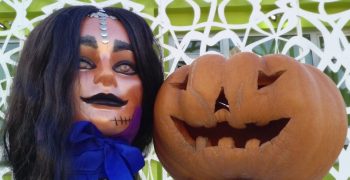 14858818_1245278102181717_1616058370_o