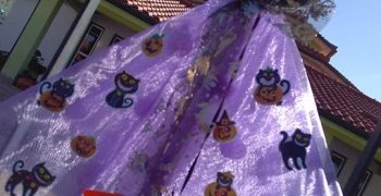 14875343_1245278078848386_1627726423_n