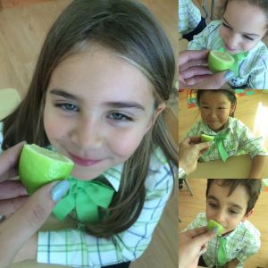 14936985_1425052520855825_466184632_n