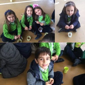 15046298_1432327323461678_60342994_n