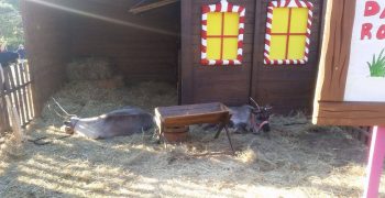 15595858_1299413773434816_161891774_o