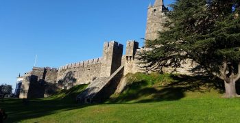 15609091_1299413623434831_1163999568_o