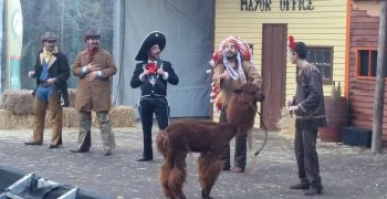 15631429_1299413780101482_1870393817_o