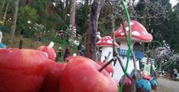 15644660_1299413570101503_1814447921_n