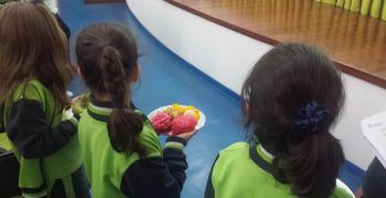 17690893_1015405728603924_2129040176_n