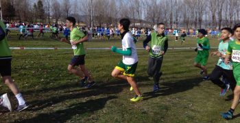 27836410_1697870146922508_1753417424_o