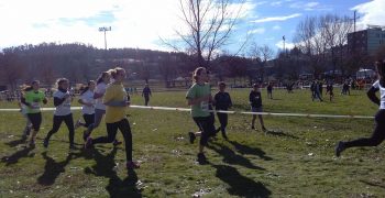 27901206_1697870363589153_1133237493_o