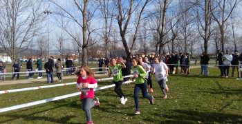 27901271_1697869620255894_2081946109_o