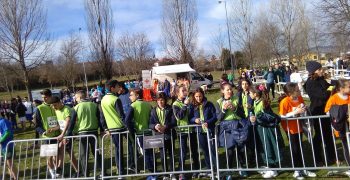 27901909_1697870023589187_1340873601_o