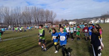 27906825_1697870196922503_14506592_o