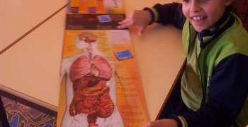 12166875_908430882575356_1303500743_n