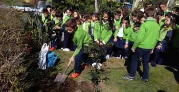 28946421_1742072535835602_2136381317_o