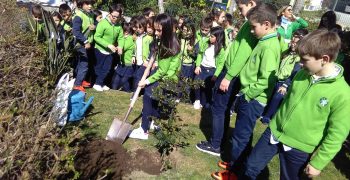 28946548_1742073009168888_658334159_o