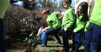 29242480_1742072645835591_863266719_o