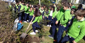 29242590_1742073015835554_711551611_o