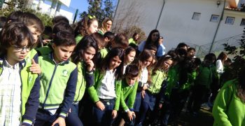 29242620_1742072875835568_1264494453_o