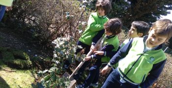 29243085_1742073022502220_1288043141_o