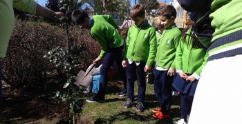 29243356_1742072279168961_1112902839_o