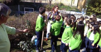 29250582_1742072229168966_1279408950_o