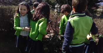 29251342_1742072992502223_713504394_o