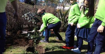 29390951_1742072612502261_1423533954_o