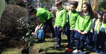 29391336_1742072249168964_677286783_o