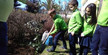 29404594_1742072282502294_2120600248_o