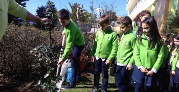 29405478_1742072235835632_493607550_o