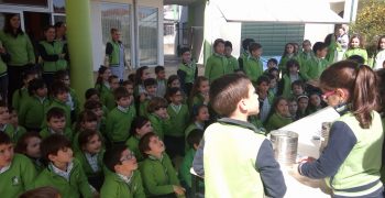 29496800_928617090645662_9094763347164790784_o