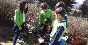 29526715_1742072975835558_280493266_o